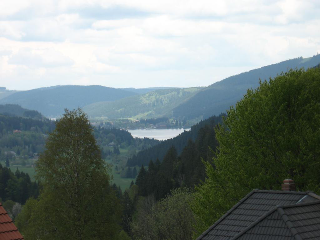 Отель Gaestehaus Faller Фельдберг Экстерьер фото